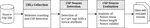 The Nonce-nce of Web Security: An Investigation of CSP Nonces Reuse